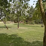Les Du Petit Marcel
