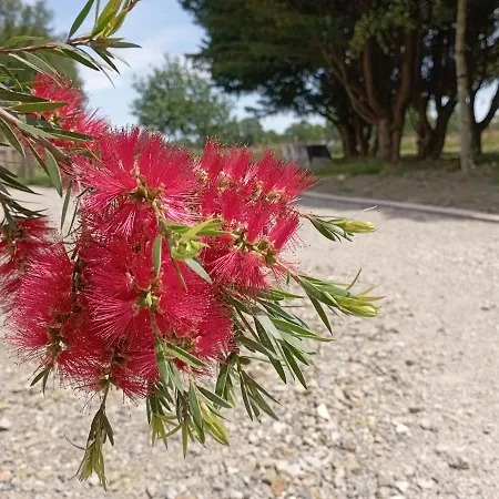 招待所 Les Du Petit Marcel