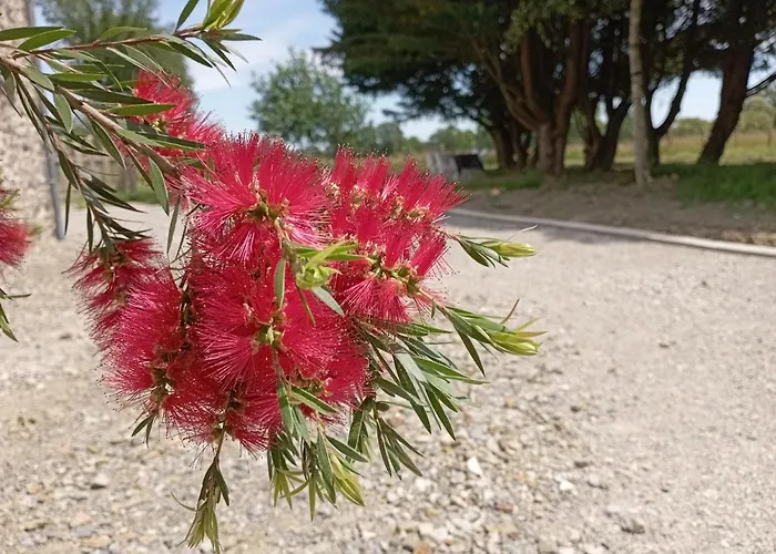 Gasthof Les Du Petit Marcel