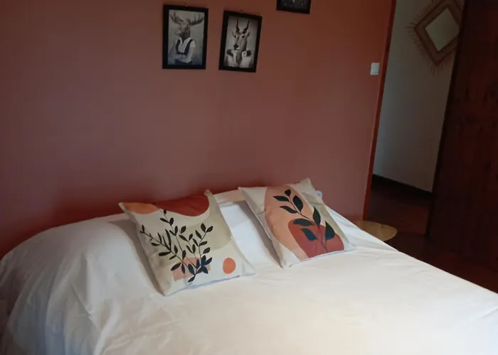 Les Du Petit Marcel 招待所